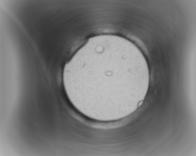 X0000113020017200910081209