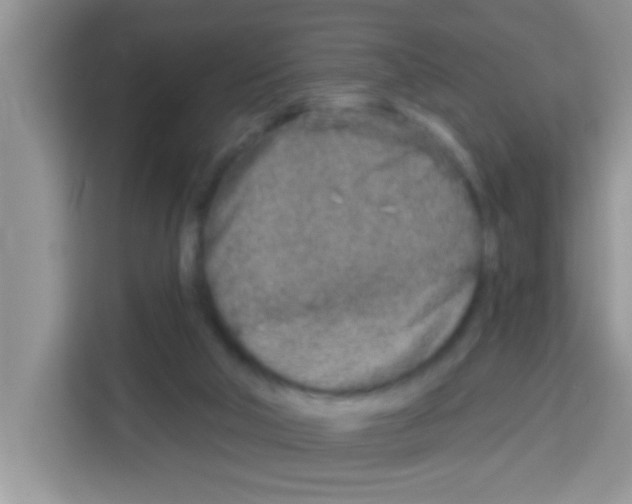 X0000113020018200910081209