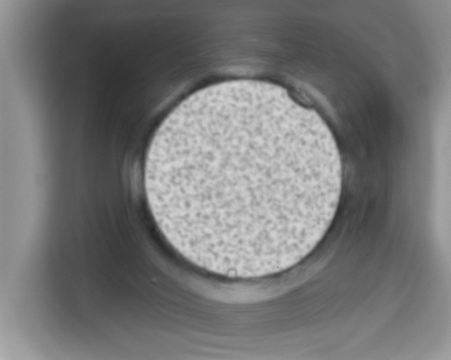 X0000113020020200910081209