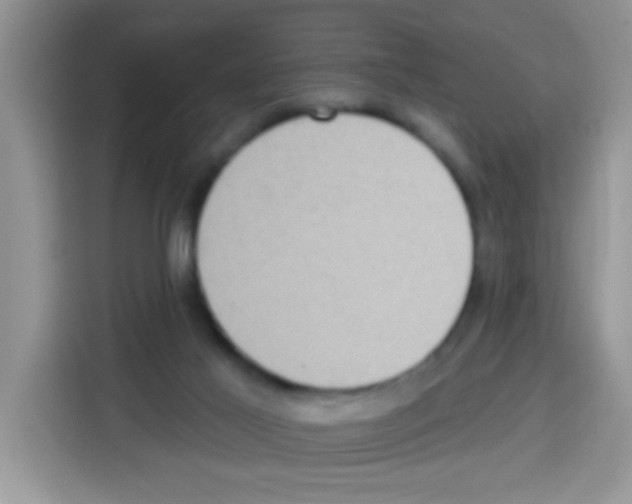 X0000113020021200910081209