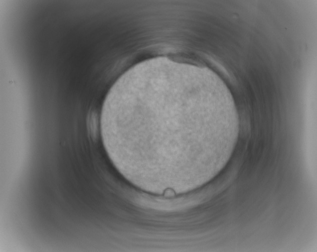 X0000113020022200910081209