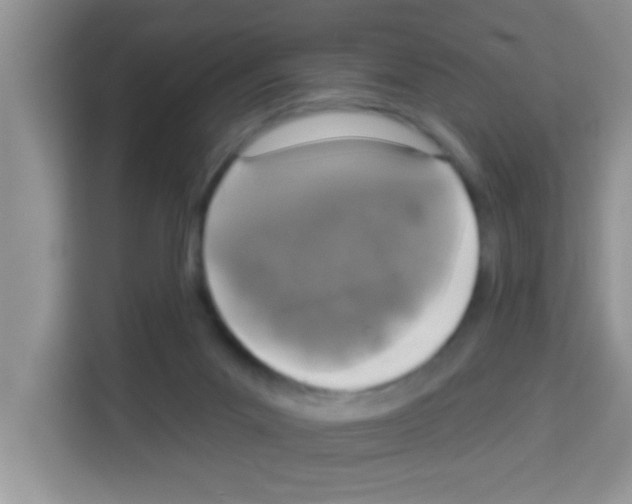 X0000113020023200910081209