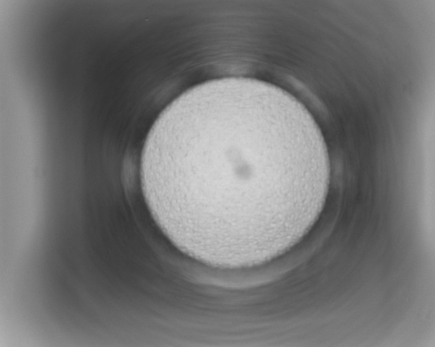 X0000113020026200910081209