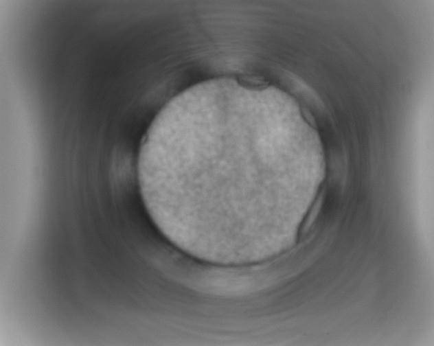 X0000113020029200910081209