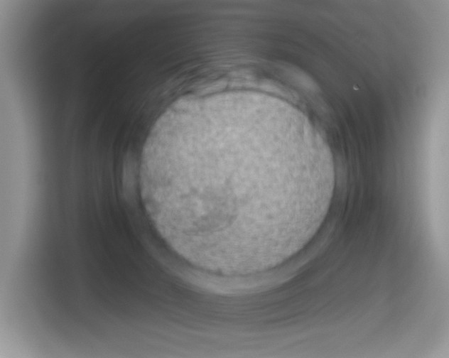 X0000113020030200910081209