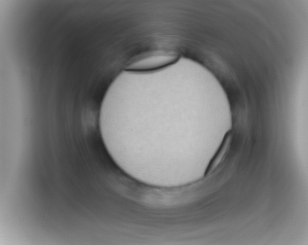 X0000113020033200910081209