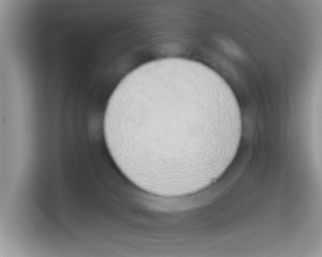 X0000113020034200910081209