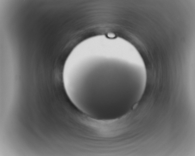 X0000113020035200910081209