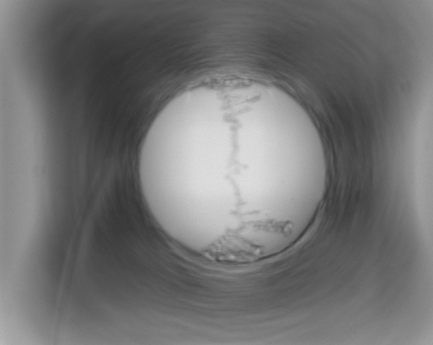 X0000113020037200910081209