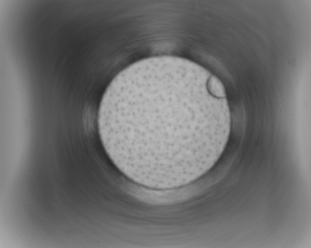 X0000113020038200910081209