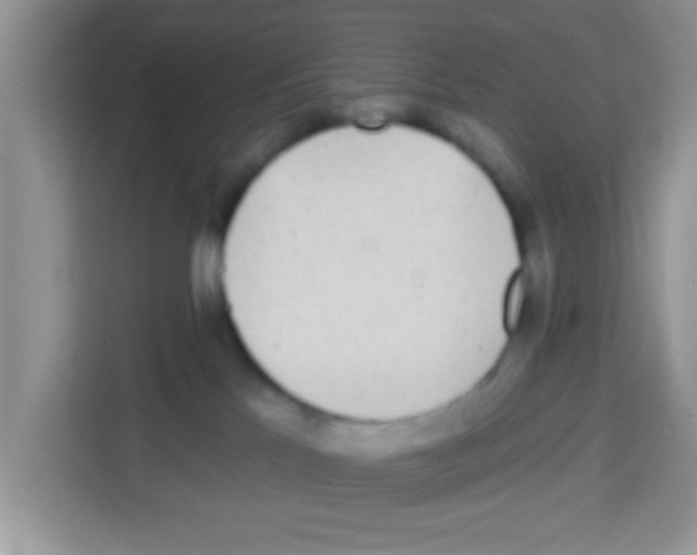 X0000113020041200910081209