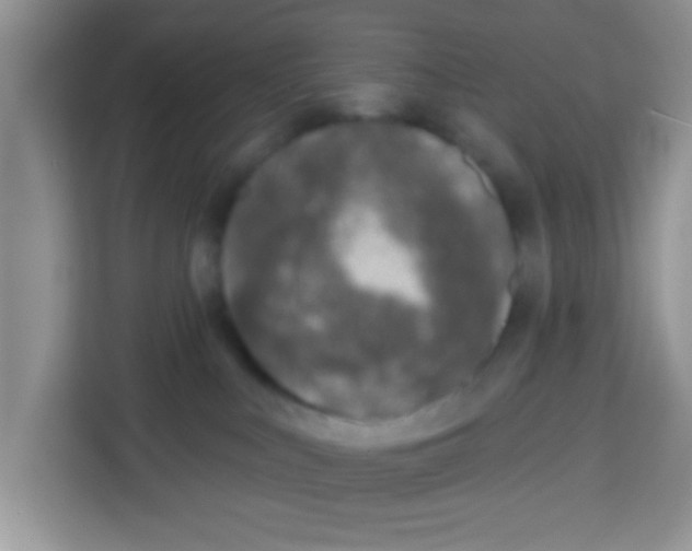 X0000113020043200910081209