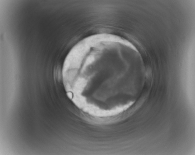 X0000113020046200910081208