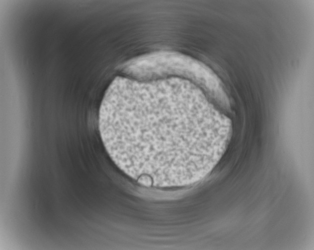 X0000113020048200910081208