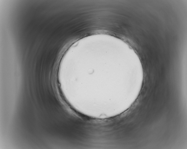 X0000113020049200910081208