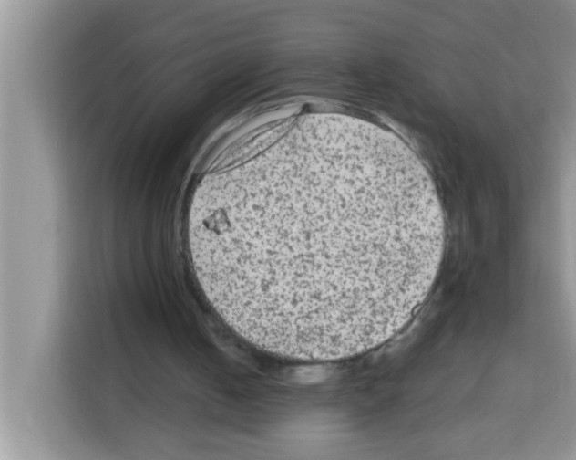 X0000113020050200910081208