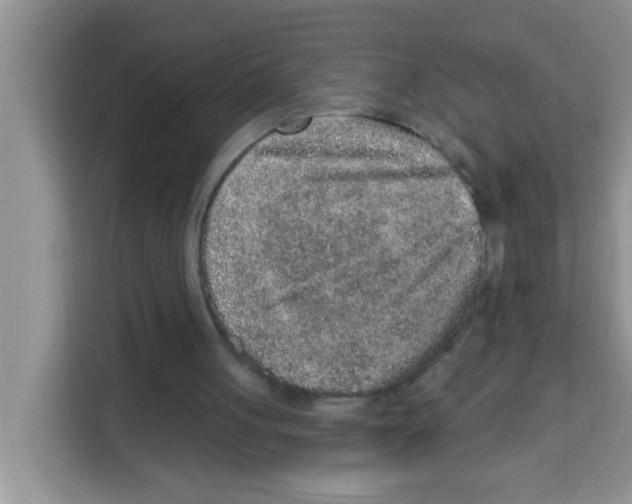 X0000113020051200910081208