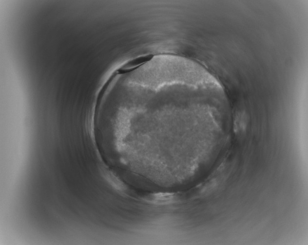 X0000113020052200910081208