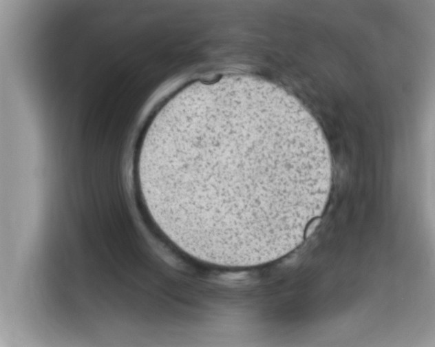 X0000113020054200910081208