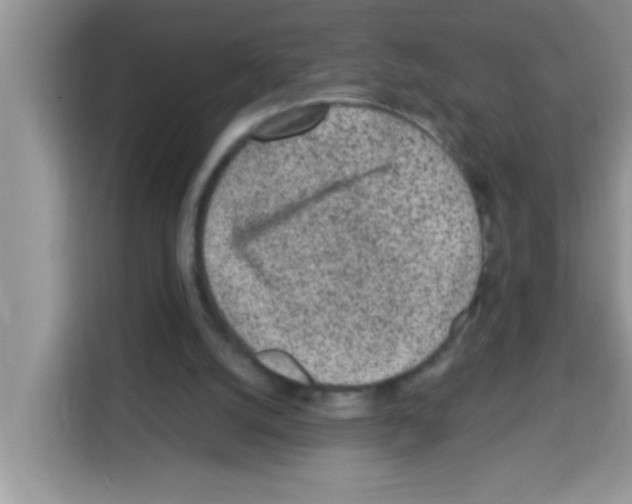 X0000113020056200910081208