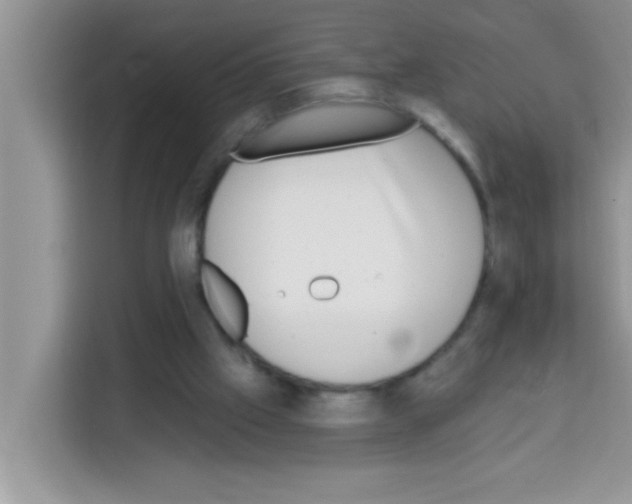 X0000113020057200910081208