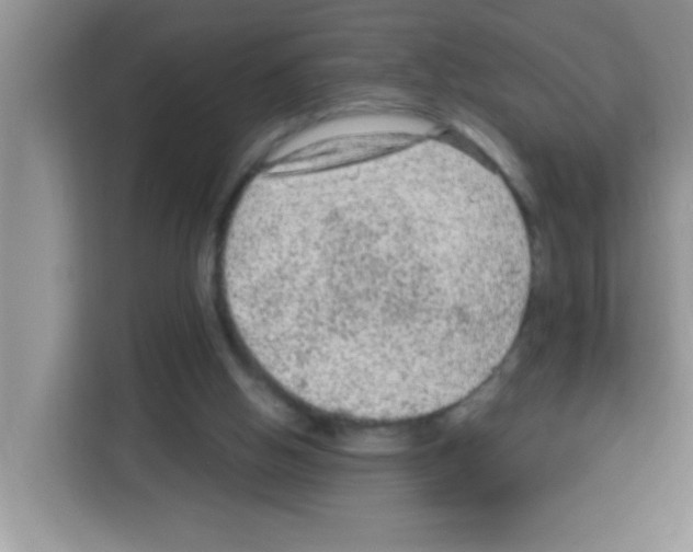 X0000113020058200910081208