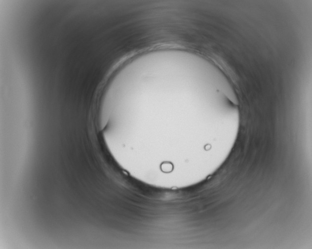 X0000113020060200910081208