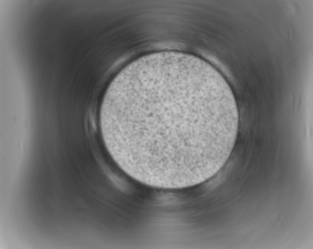 X0000113020062200910081208