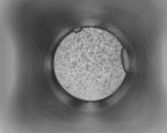 X0000113020064200910081208