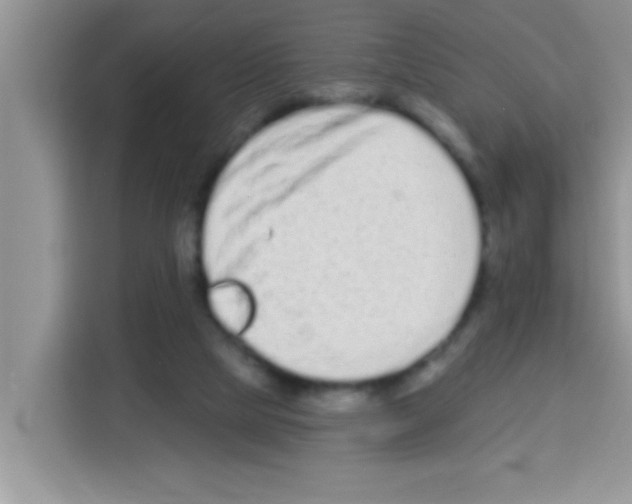 X0000113020065200910081208