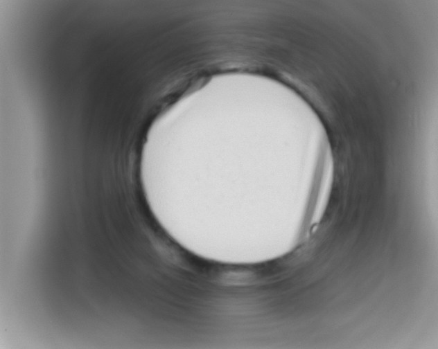 X0000113020066200910081208