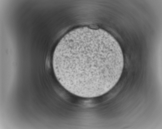 X0000113020068200910081208