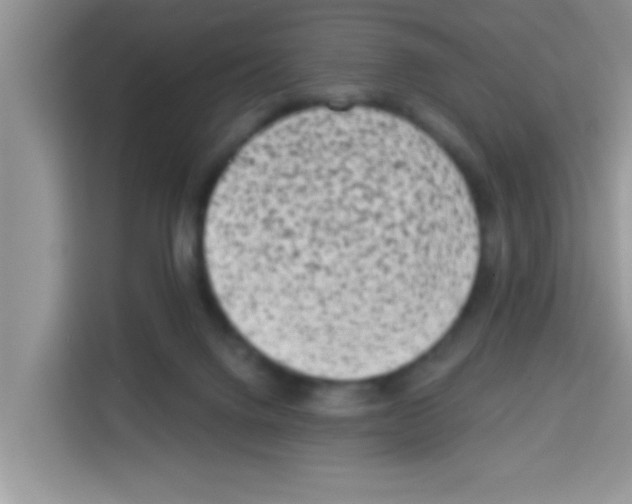 X0000113020072200910081208