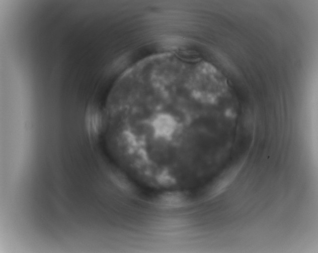 X0000113020076200910081208