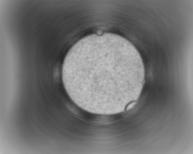 X0000113020082200910081208