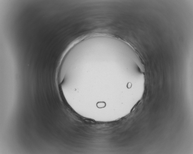 X0000113020100200910081208