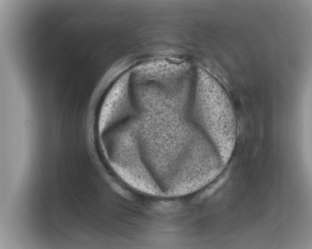 X0000113020101200910081208