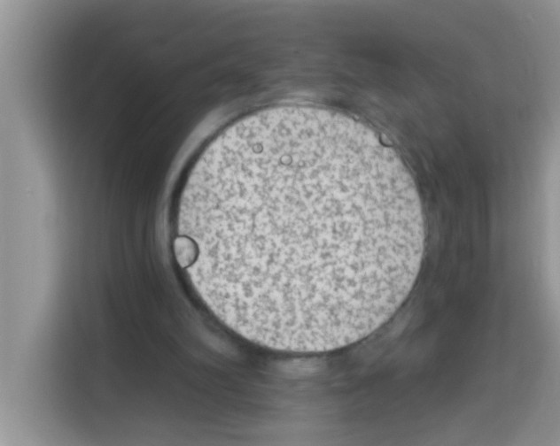 X0000113020102200910081208