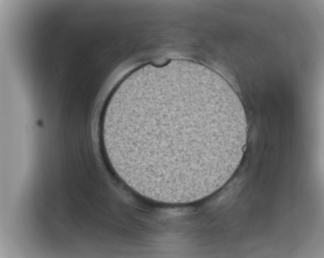 X0000113020103200910081208