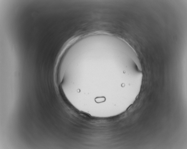 X0000113020104200910081208