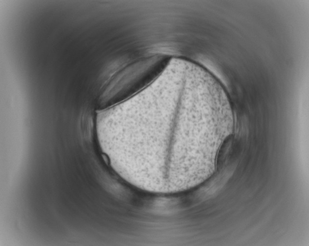 X0000113020109200910081208