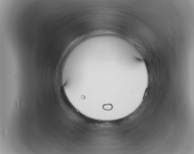 X0000113020112200910081208