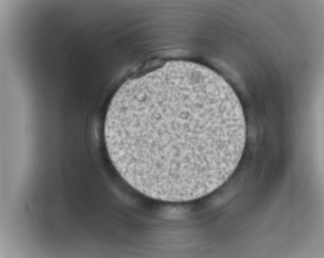 X0000113020115200910081208