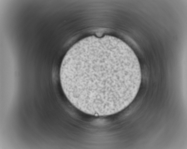 X0000113020119200910081208