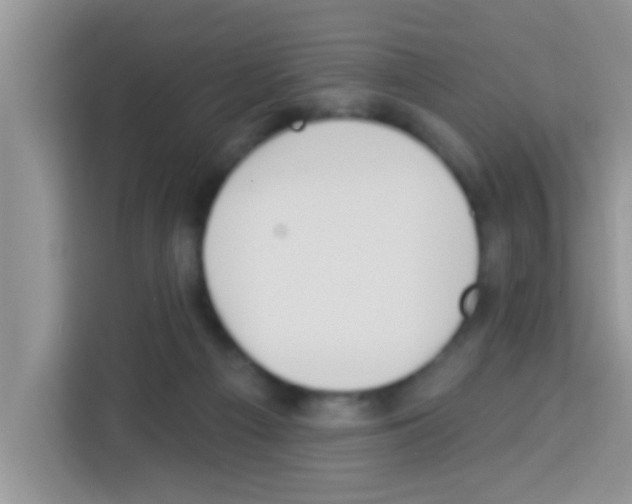 X0000113020121200910081207