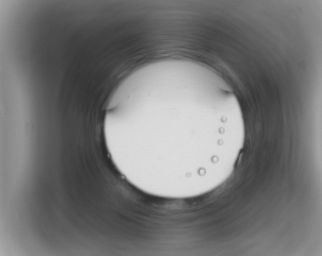 X0000113020124200910081207