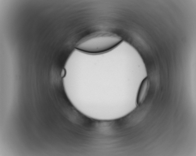 X0000113020129200910081207