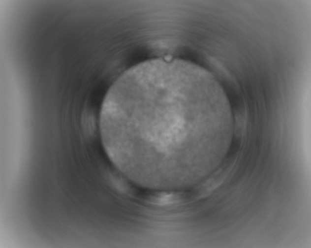 X0000113020130200910081207