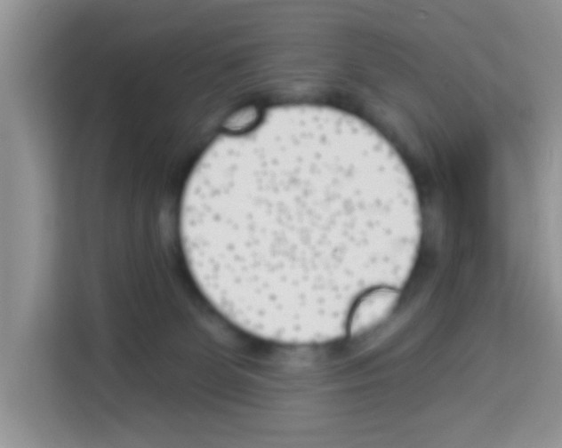 X0000113020131200910081207