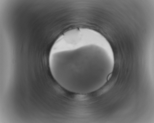 X0000113020139200910081207